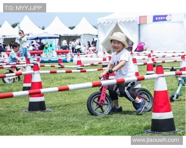 羊驼足球明星游戏带你体验奇幻绿茵场上的欢乐与挑战 羊驼足球明星游戏带你体验奇幻绿茵场上的欢乐与挑战