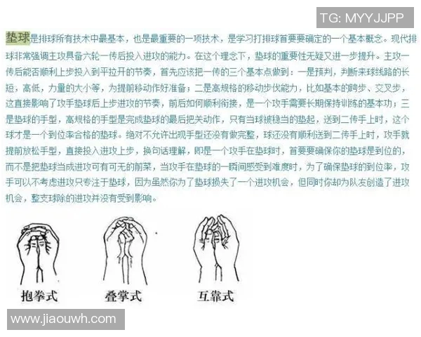 从零起步掌握排球技巧全面指南助你成为排球高手