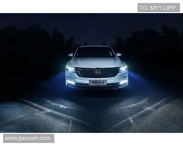 全国锦标赛回顾：西安乒乓球队展现出色实力与团队精神