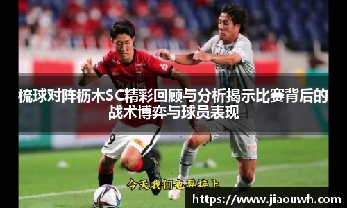 中欧体育