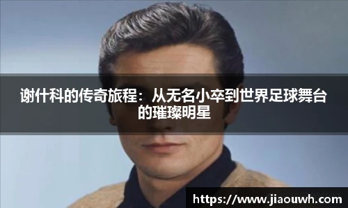 中欧体育平台