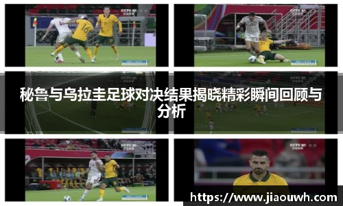 中欧体育平台