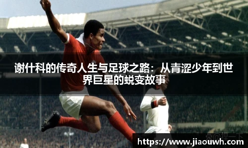 中欧体育官网
