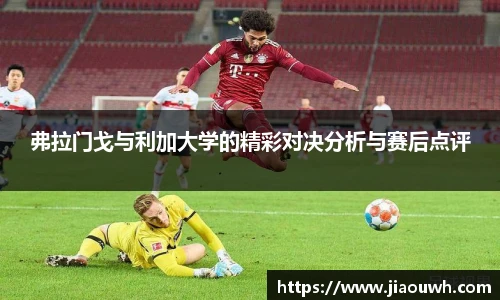 中欧体育官方网站